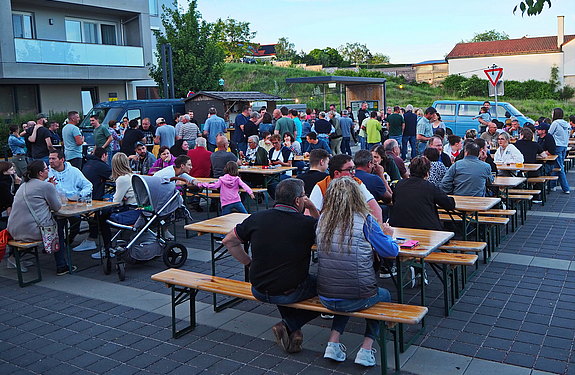 Maibaum 2024 gefällt