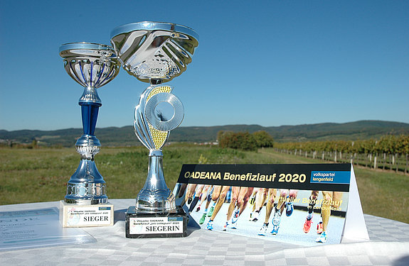 Oadeana Benefizlauf 2020: Finished